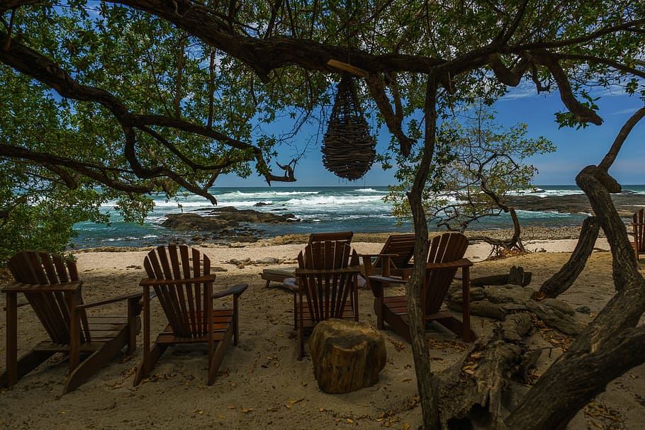 empty, brown, adirondack chairs, tree, Beach, Tropical, Costa Rica, tropical beach, ocean, summer