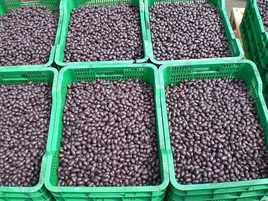olives, black, market, market stall, drupes, food and drink, container, food, freshness, retail
