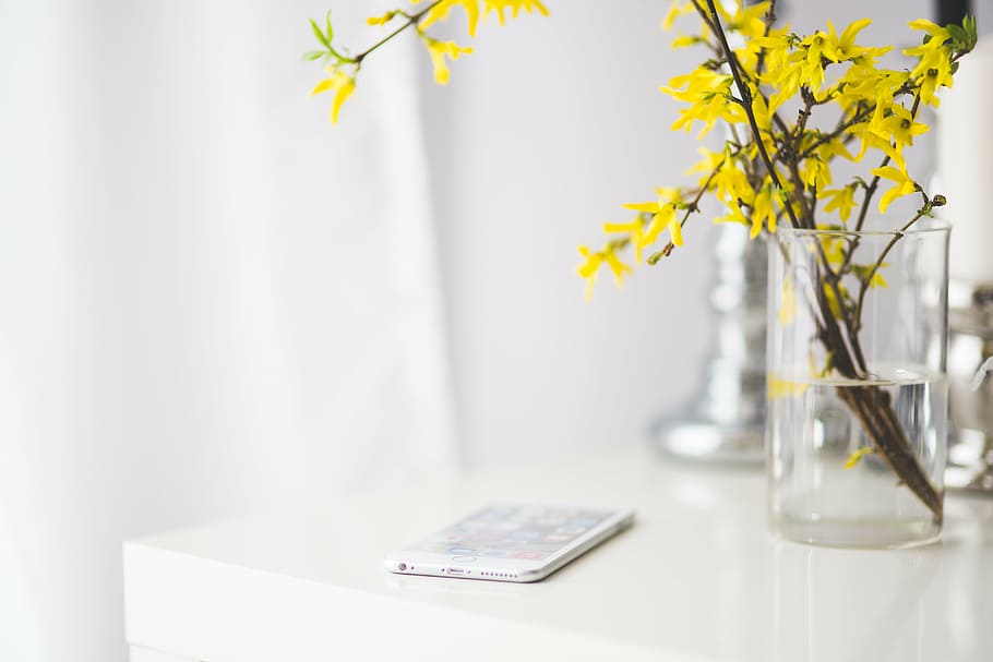 branco, smartphone, mesa, iphone, iphone 6, iphone 6 plus, maçã, mesa branca, flores, flores amarelas