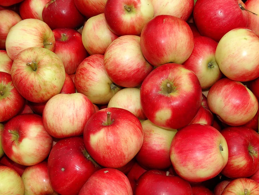 tumpukan, apel honeycrisp, apel, tandan apel, buah-buahan, merah, kuning, buah, makanan, lezat