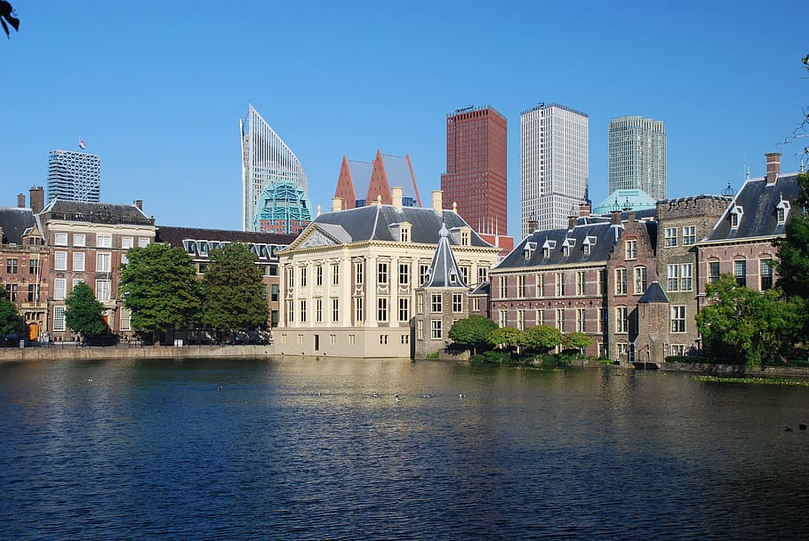 house, next, body, water, hofvijver, mauritshuis, ministries, the hague, residence, government