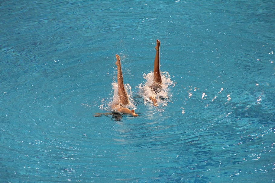 two, women synchronising, Swimming, Olympics, Water, Sport, Swim, competition, pool, fitness