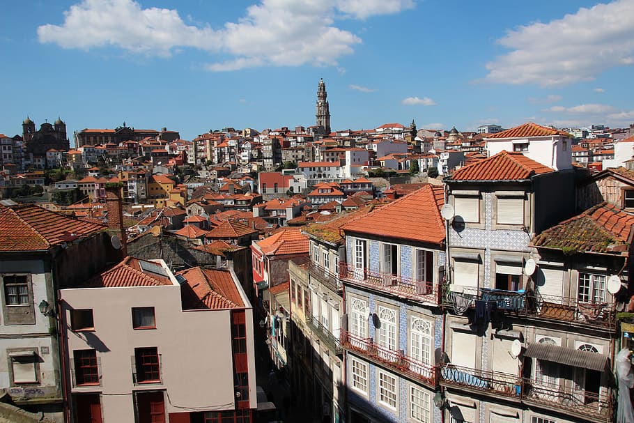 bird, eye view, daytime, Portugal, Porto, City, Old Town, historically, tourism, houses facades