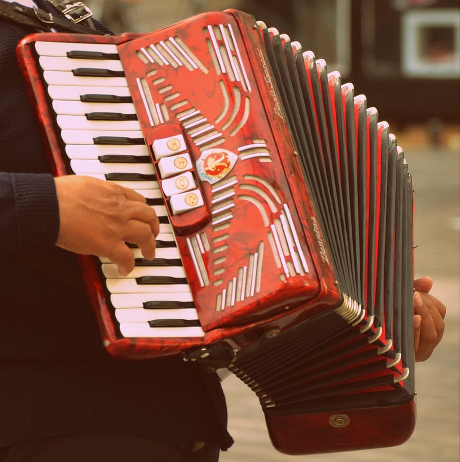 harmonica, music, instrument, play, musical instrument, keys, accordion, one person, musical equipment, real people