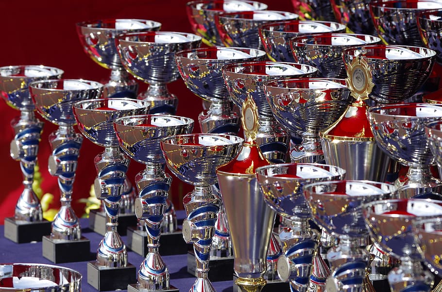 silver-colored trophies, blue, surface, trophies, show, award, trophy, prize, large group of objects, choice