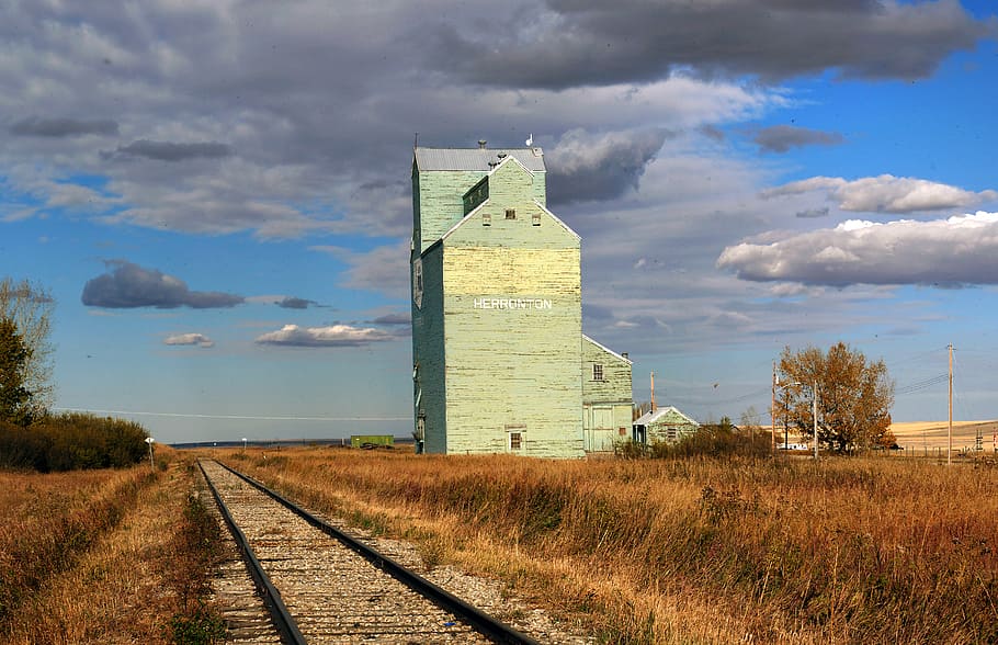 Grain elevator, Alberta, concrete, building, railway, cloud - sky, sky, architecture, nature, grass