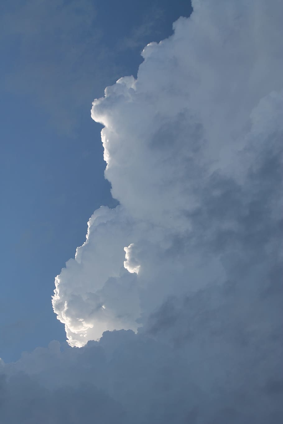 Cumulonimbus, Clouds, Thundercloud, cumulus, sky, blue, clouds form, white, covered sky, nature