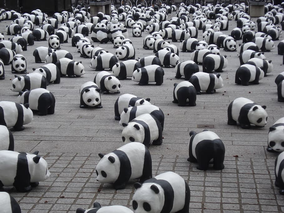 lote de panda, pandas, miniatura, exposición, osos, juego, lindo, símbolo, juguete, masas