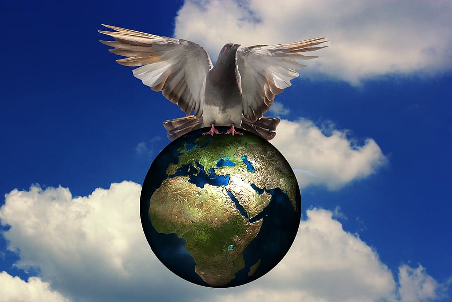 dove, globe illustration, harmony, peace dove, globe, sky, bird, nature, war, asia