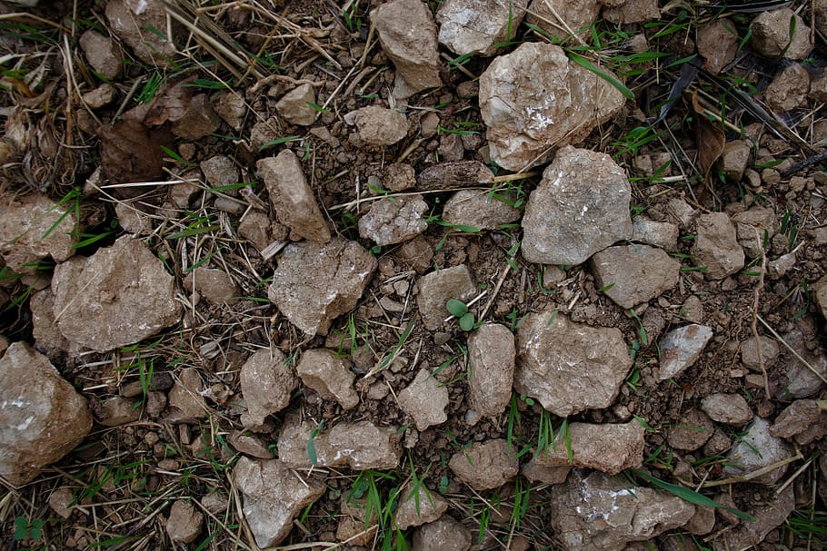 soil, rocks, field, ground, earth, surface, land, solid, high angle view, nature