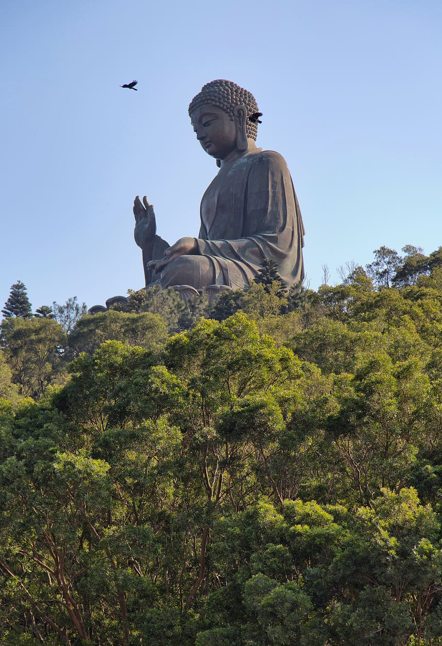 buddha, hong kong, lantau, asia, buddhism, statue, sculpture, spiritual, landmark, buddhist
