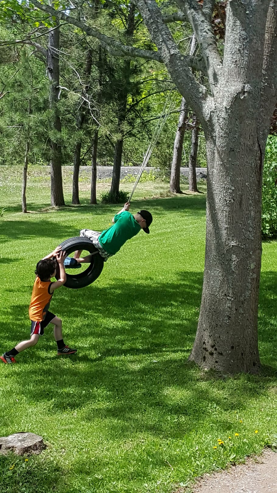 outdoors, kids, playing, son, summer, boy, family outdoors, child, together, tire swing