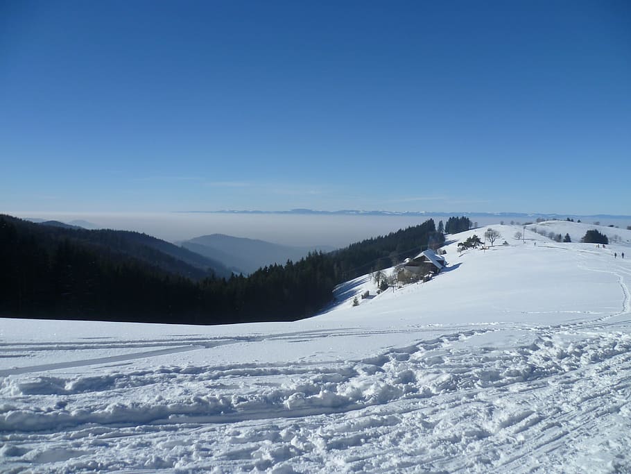 vosges, snow, winter, mountains, fog, black forest, cold temperature, sky, scenics - nature, blue