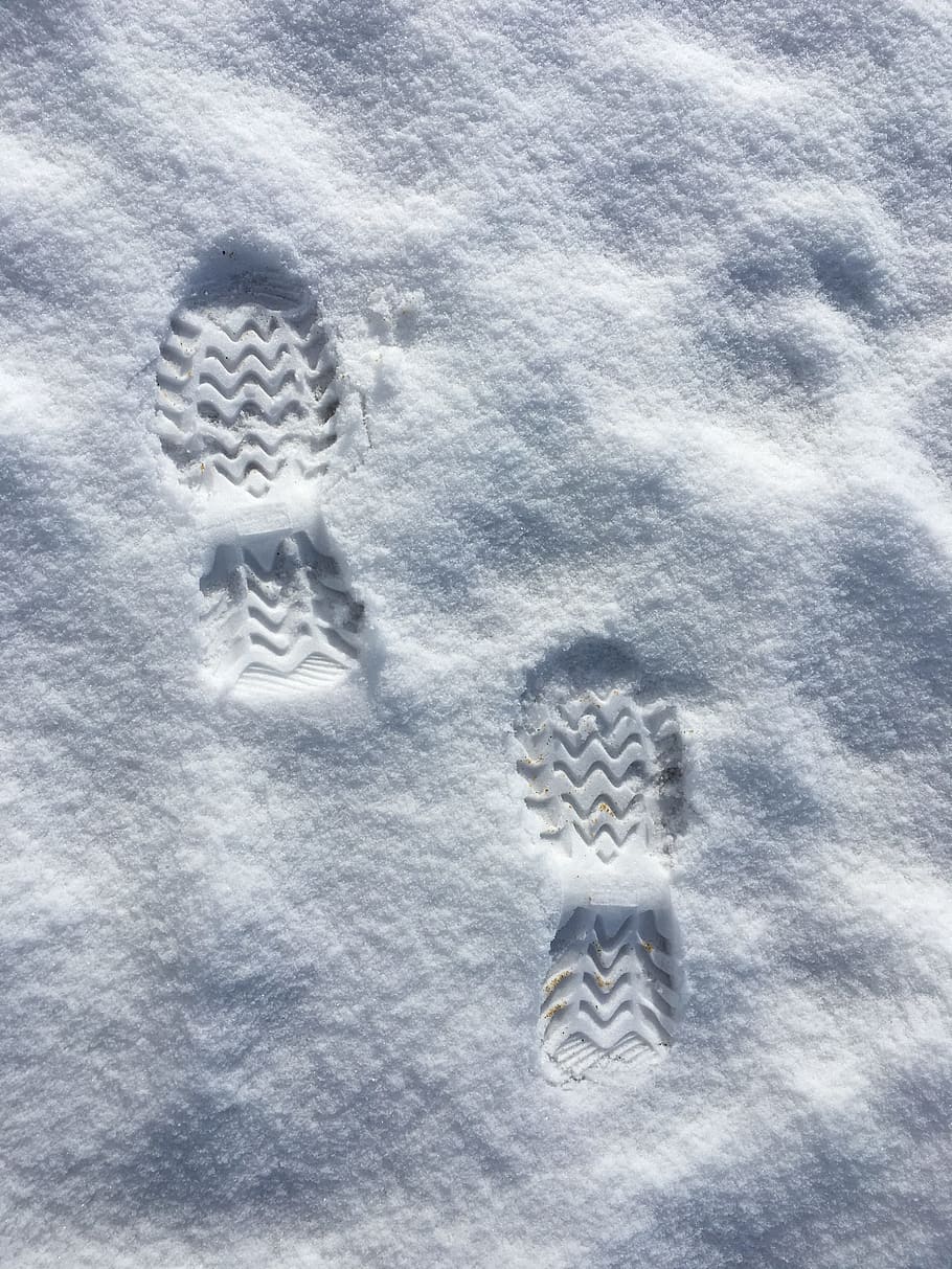 snow, shoe steps, footprints, winter, nature, season, weather, ice, cold, animal
