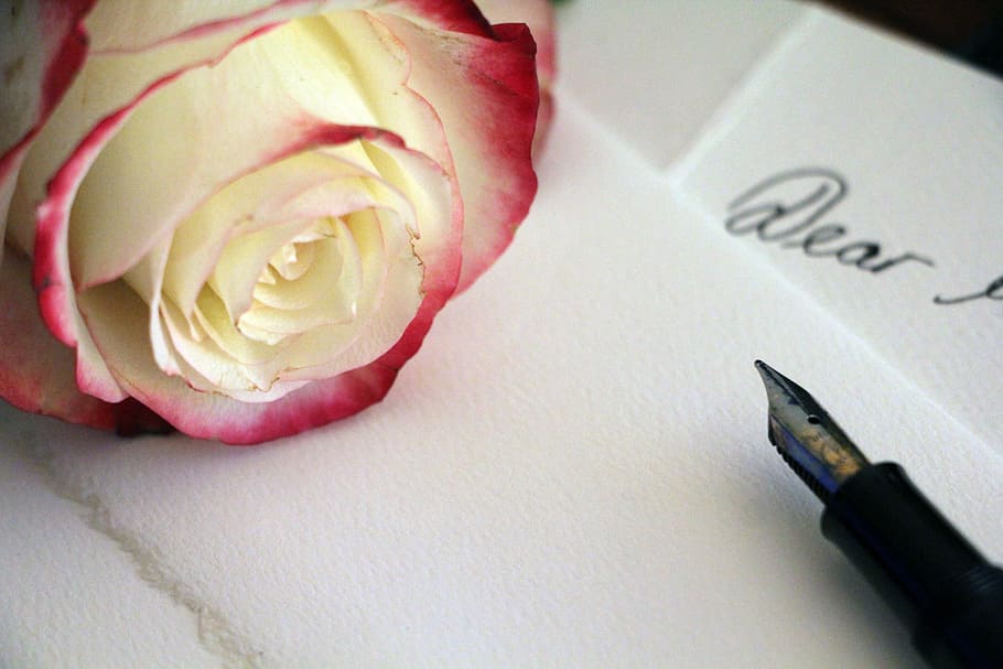 white, red, flower, fountain pen, Rose, Pink, Pink Rose, Love Letter, pale rose, friendship, letters