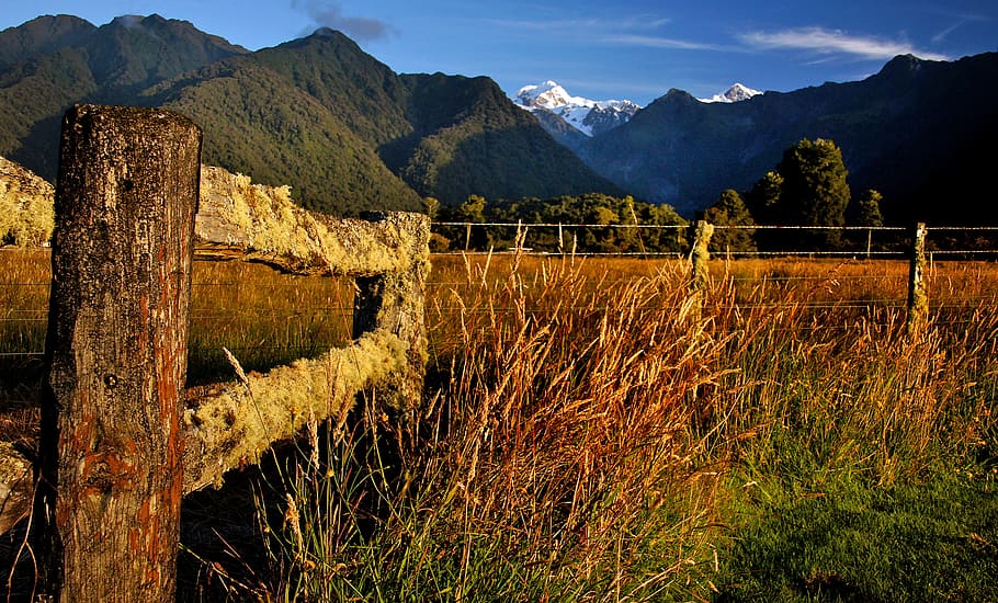 rural, Nueva Zelanda, madera, poste, púas, alambre, montaña, cielo, durante el día, planta
