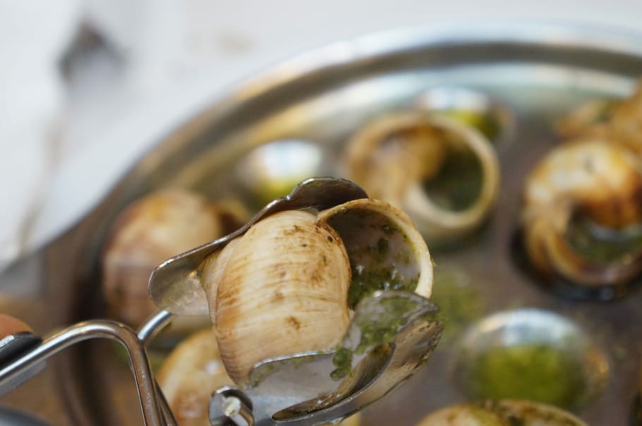 Snails, Paris, eseukkareugo, food and drink, close-up, indoors, healthy eating, food, freshness, kitchen utensil