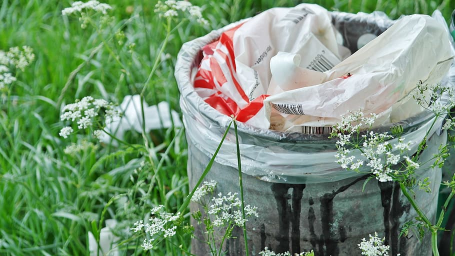 white, trash bin, grass, garbage can, waste, waste bins, recycle bin, garbage, waste disposal, environmental protection