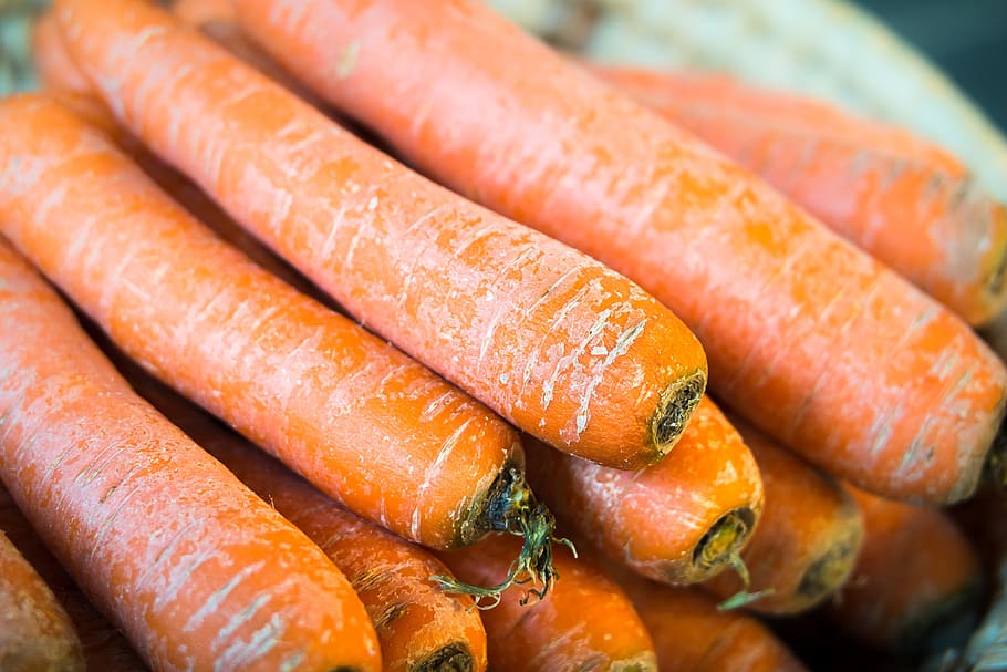 carrot lot, carrots, vegetables, thanksgiving, harvest, orange, food and drink, food, freshness, close-up