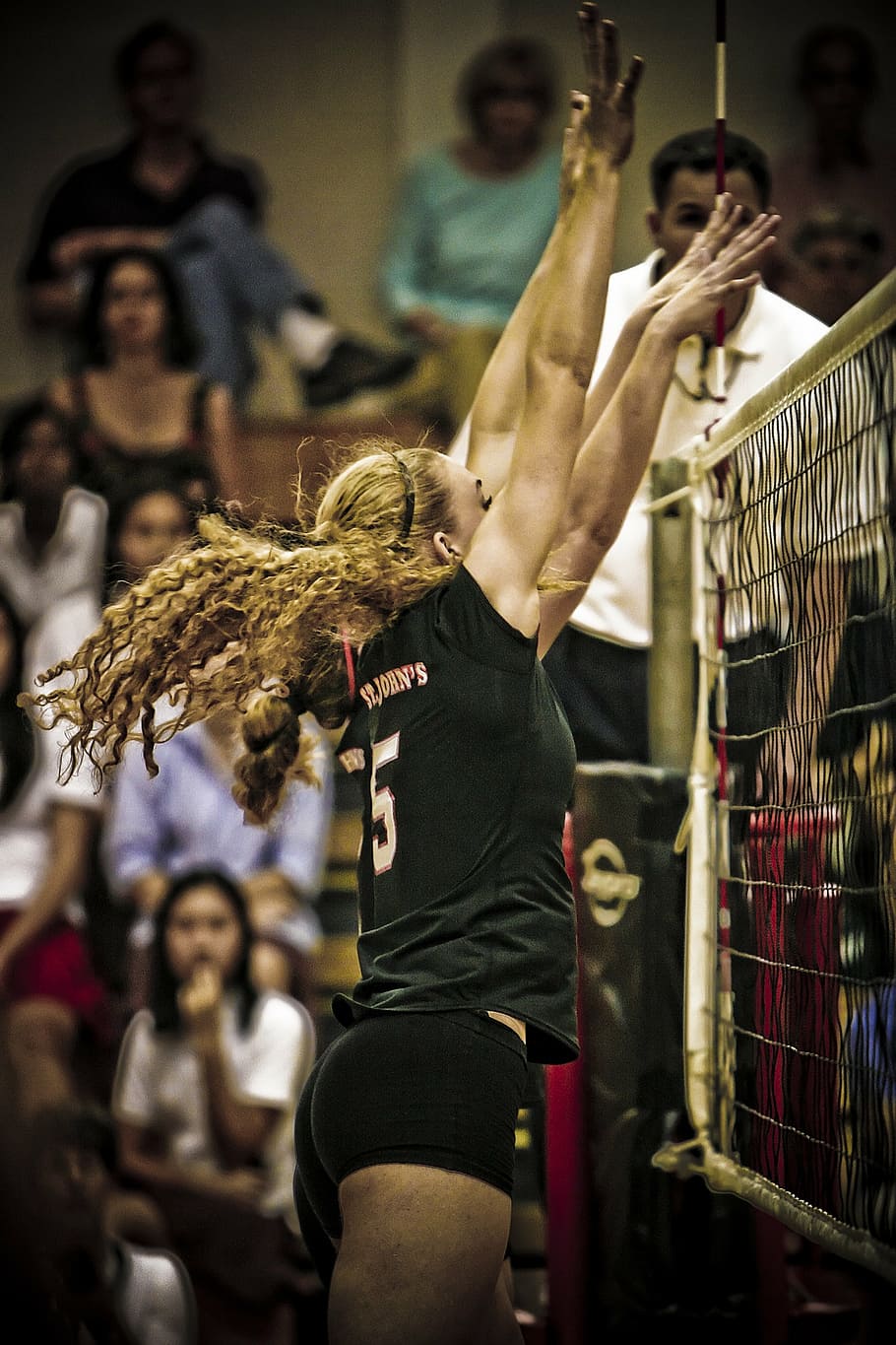 voleibol, menina, bloqueio, fêmea, atlético, jogar, ação, competição, esforço, caber