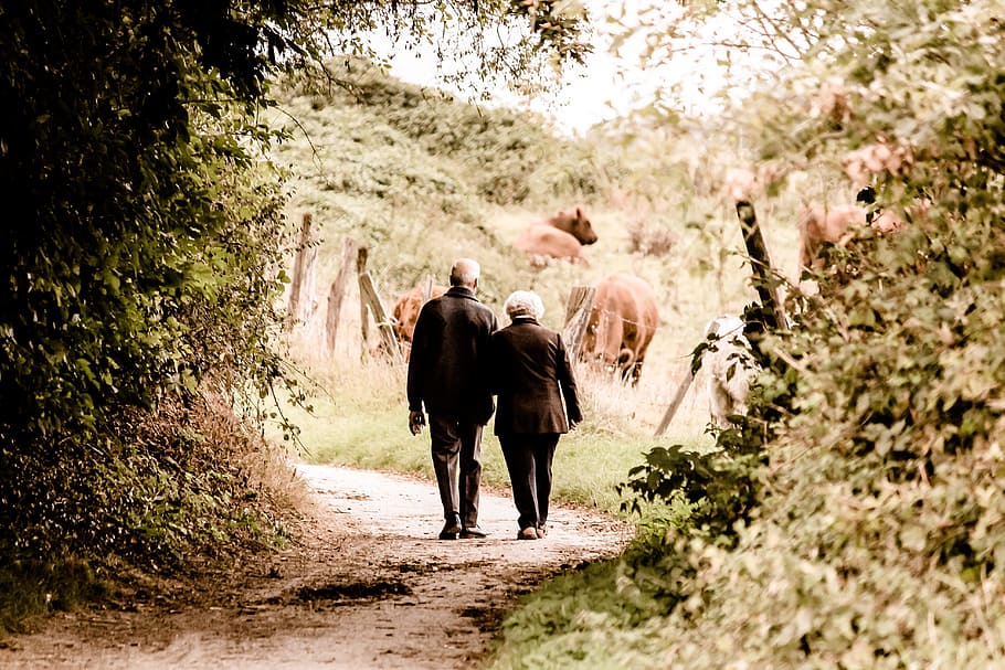 pareja, caminar, calle, durante el día, personas mayores, pensionistas, edad, silueta, humano, persona