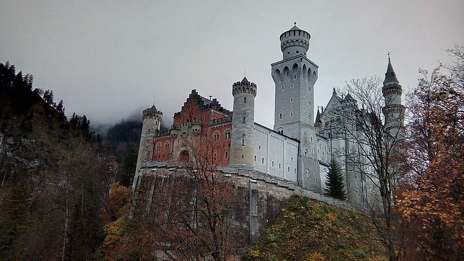 neuschwanstein, castle, romantic, europe, landmark, germany, bayern, tree, building exterior, architecture