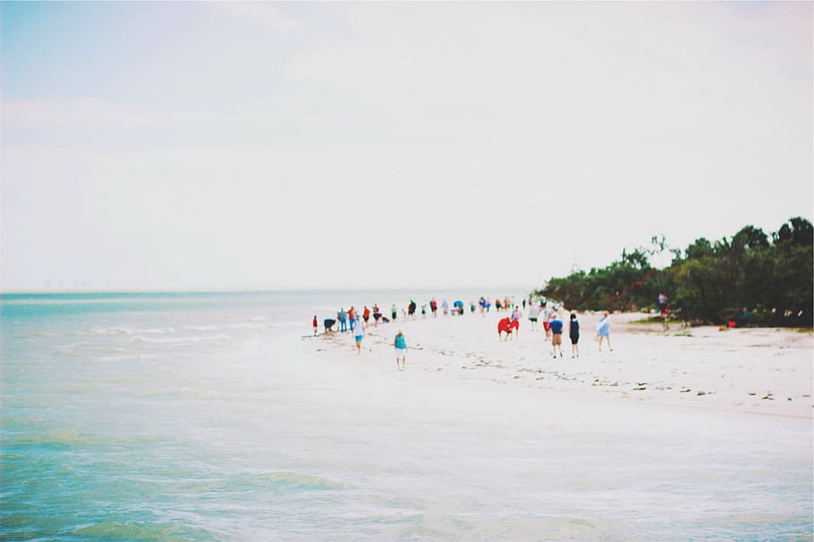 orang, berdiri, pantai, siang hari, berjalan, dekat, tenang, laut, pasir, air