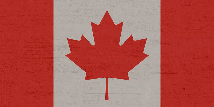 Ilustración de la bandera de Canadá, Canadá, bandera, arce, rojo, blanco, patriotismo, ninguna gente, símbolo, hoja de arce