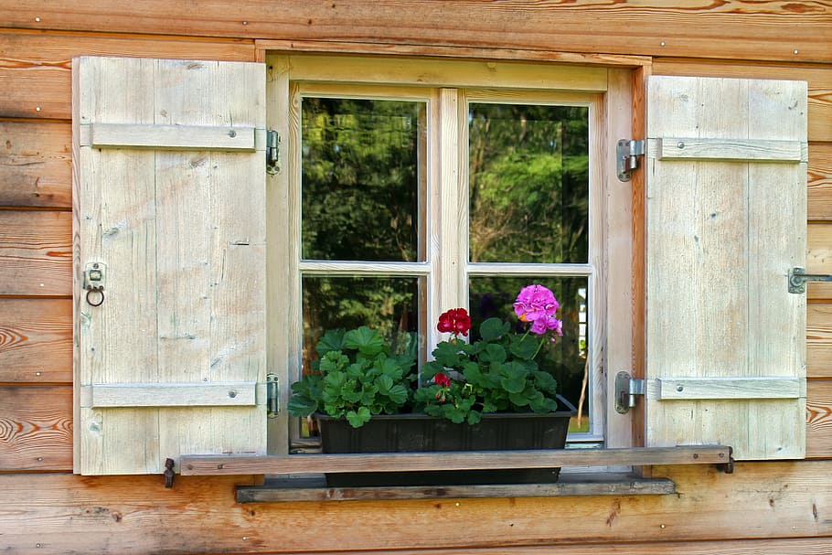 black, planter box, window ledge, house jewelry, flower box, window flower, window, wooden windows, flowers, geranium