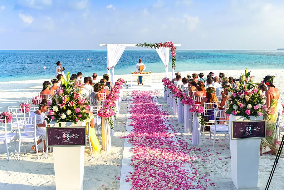 pink, petaled flowers, group, people, sitting, body, water, aisle, beach, celebration
