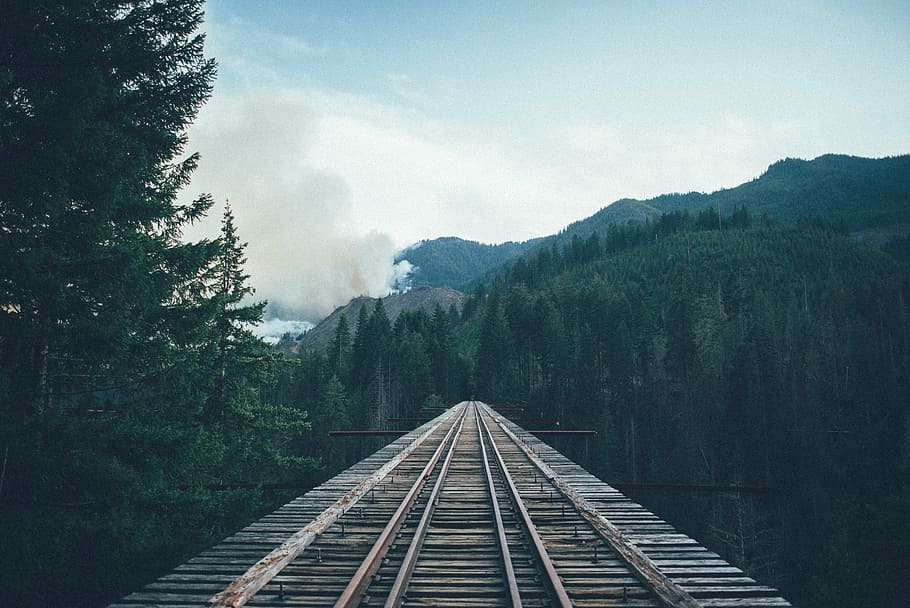 brown, railway, green, trees mountain, daytime, wooden, train, rail, near, mountain