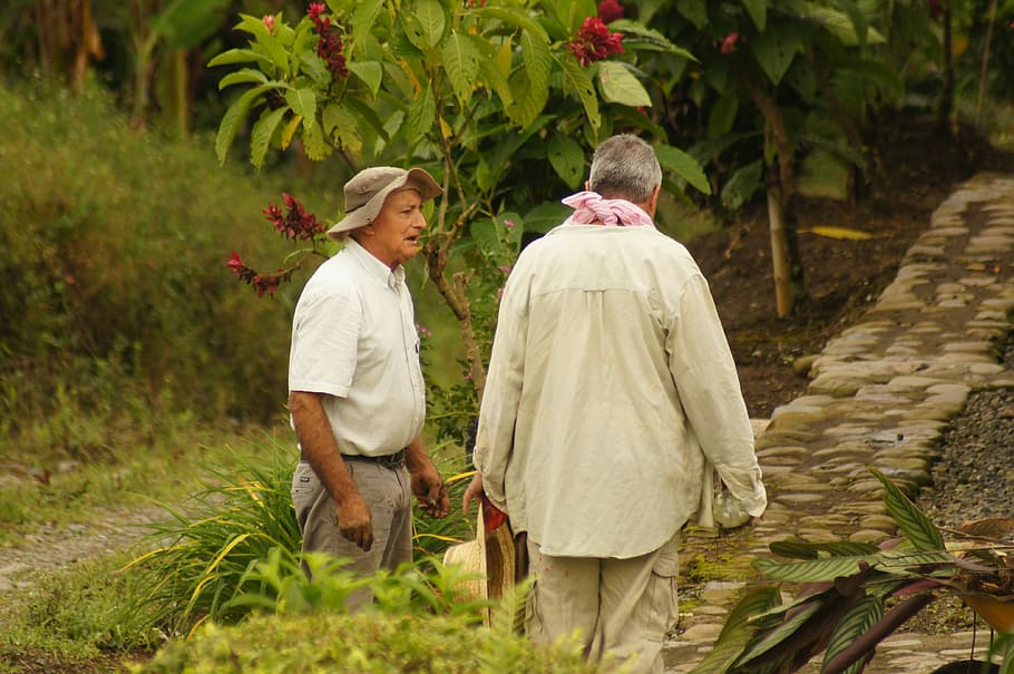 peasants, finlandia, quindio, colombia, field, two people, plant, rear view, real people, togetherness