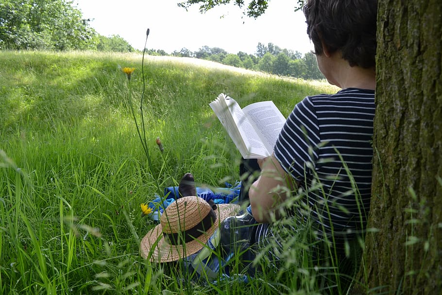 pessoa lendo livro, árvore, livro lendo, livro, leitura, ler, literatura, verão, natureza, ao ar livre