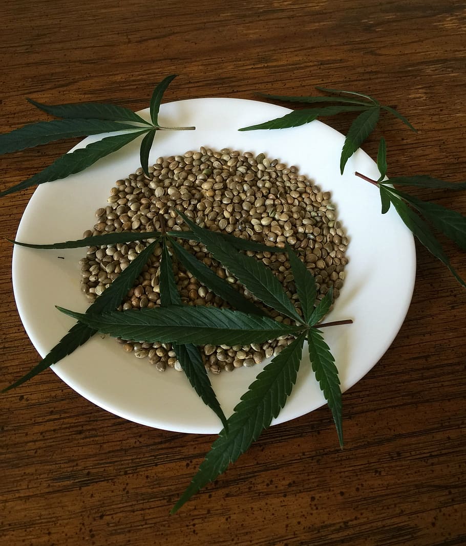 Verde, semilla, blanco, placa, semillas de cannabis, semillas de cáñamo, alimentos, ingredientes, cáñamo, cannabis