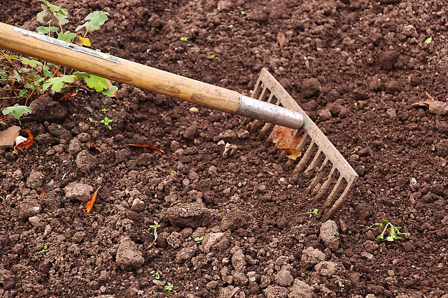 brown, rake, soil, gardening, garden, agriculture, work, tool, gardener, equipment