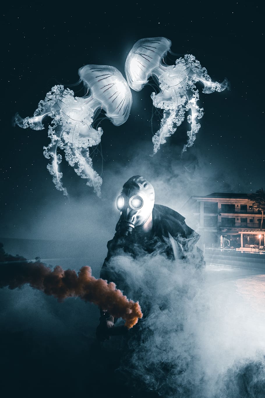 jellyfish, two, mask, fantasy, shop, the veil, man, background, danger, smoke