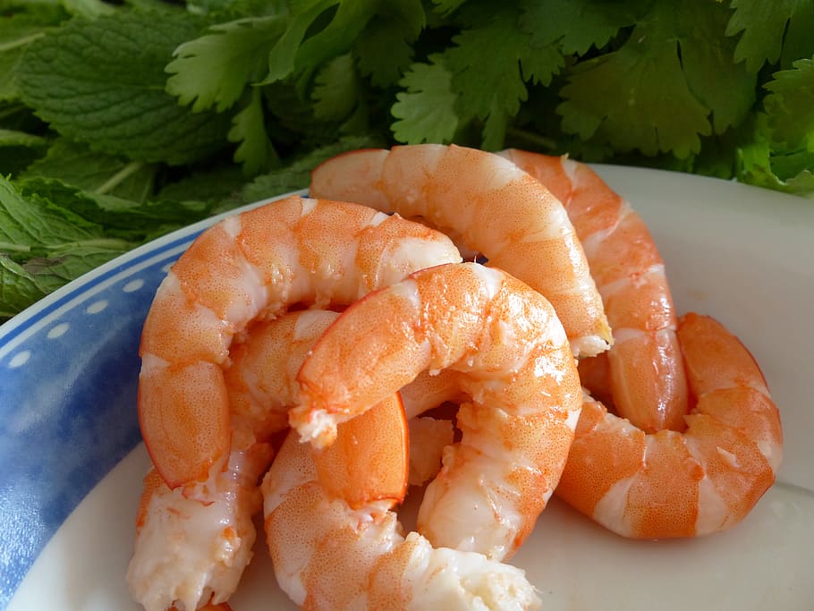 shrimp, kitchen, food, food and drink, freshness, seafood, close-up, plate, wellbeing, ready-to-eat
