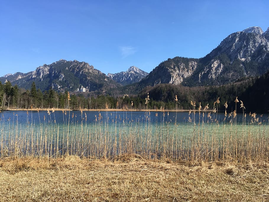 Kristin, lago, naturaleza, senderismo, montañas, bosque, Alemania, relajarse, impresionante, montaña
