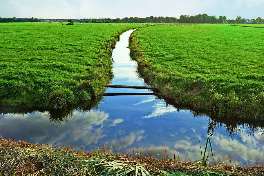 waterway, grassy banks, meadows, rural, farmland, polder, dutch landscape, landscape, horizon, blue skies