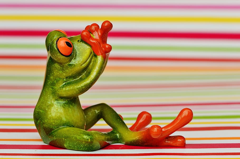 frog, figure, do not speak, scared, fear, funny, cute, fun, sit, animal