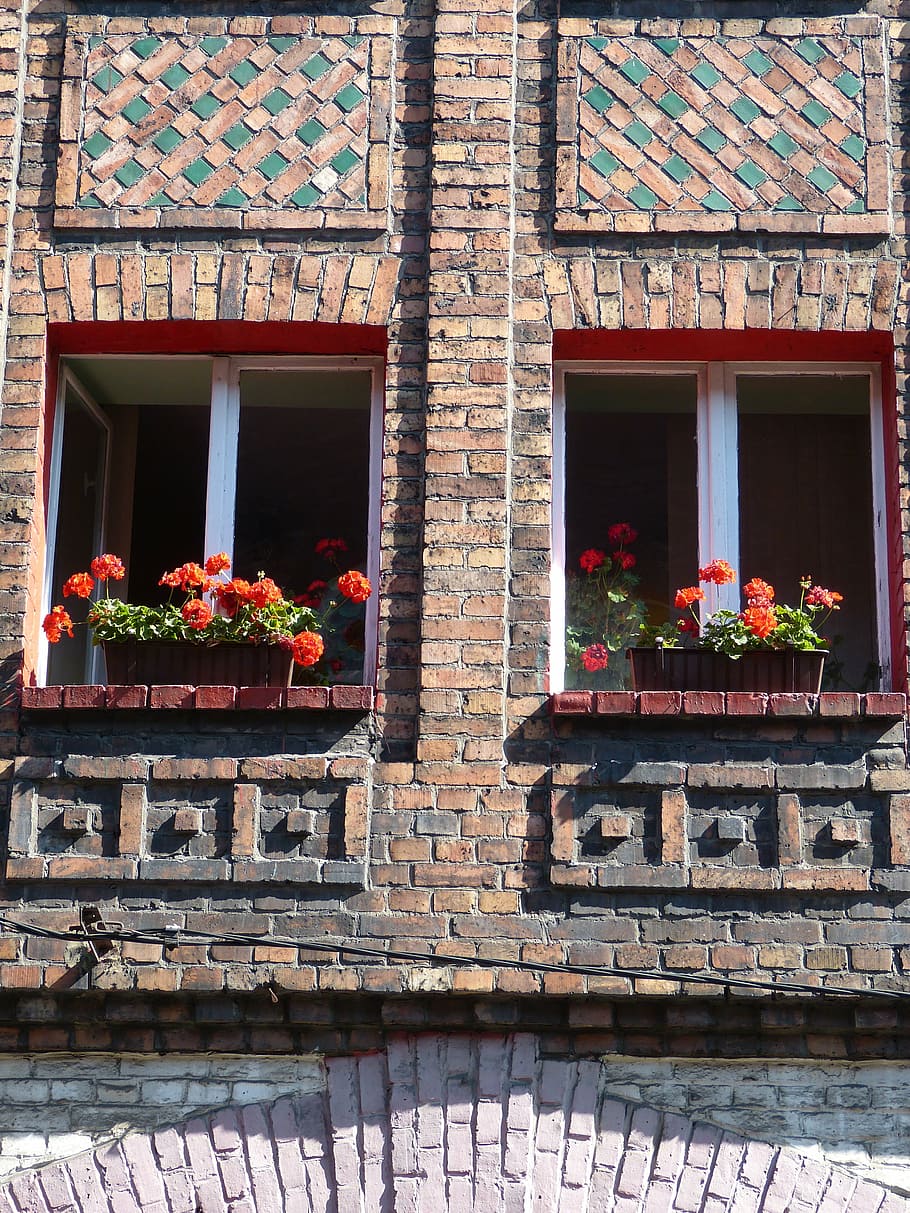 katowice, poland, silesia, settlement, facade, window, pattern, geranium, flower box, mining settlement