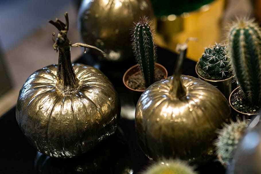 ornamental, pumpkins, cactuses, Golden, gold, ornaments, baubles, cactus, decoration, close-up