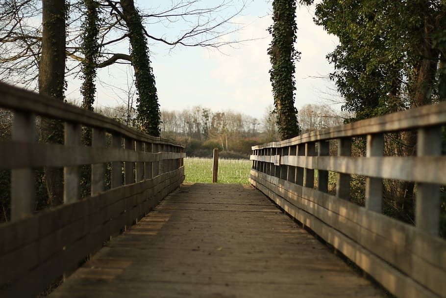 Bridge, Tree, Nature, Wood, Passage, calm, footpath, outdoors, bridge - Man Made Structure, fence