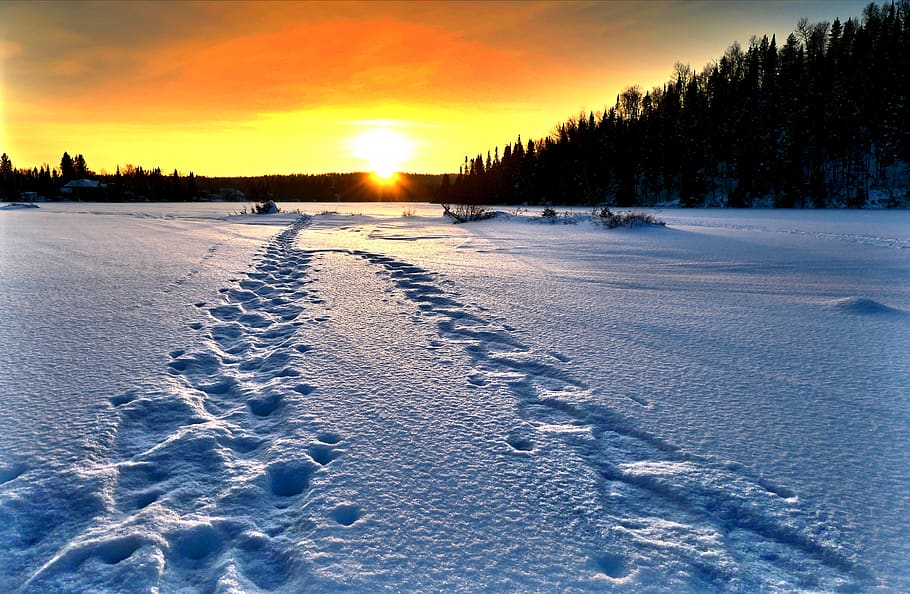 landscape, nature, winter, sunset, cold, gel, snow, traces, scenic, environment