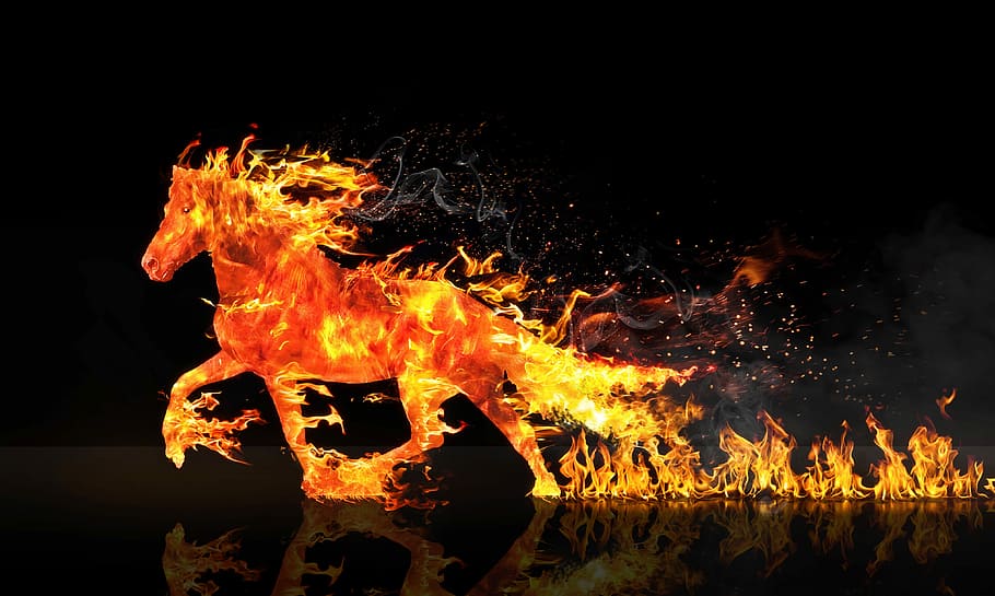 kuda, api, digital, kertas dinding, menyala, ilustrasi, kuda api, lari kuda, pemborosan, kebakaran