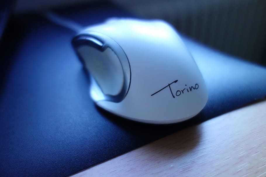white, torino computer mouse, mouse, electronics, pc accessories, hardware, computer, edp, periphaerie, peripheral