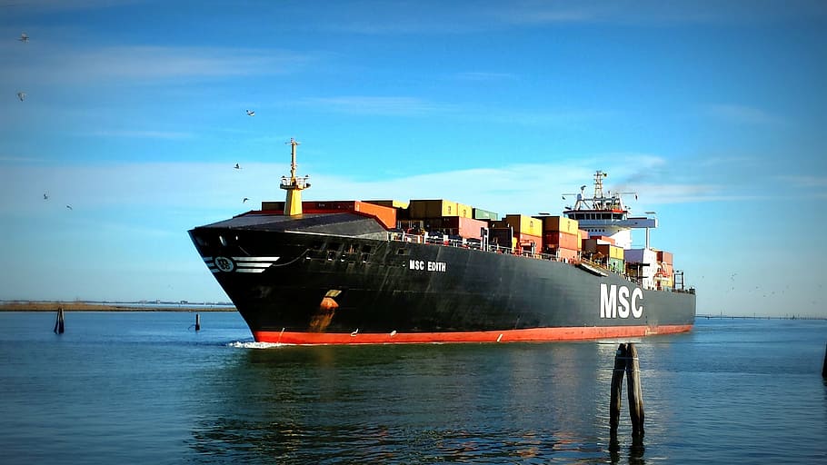 black, msc, shipping, boat, body, water, ship, merchant, port, freighter
