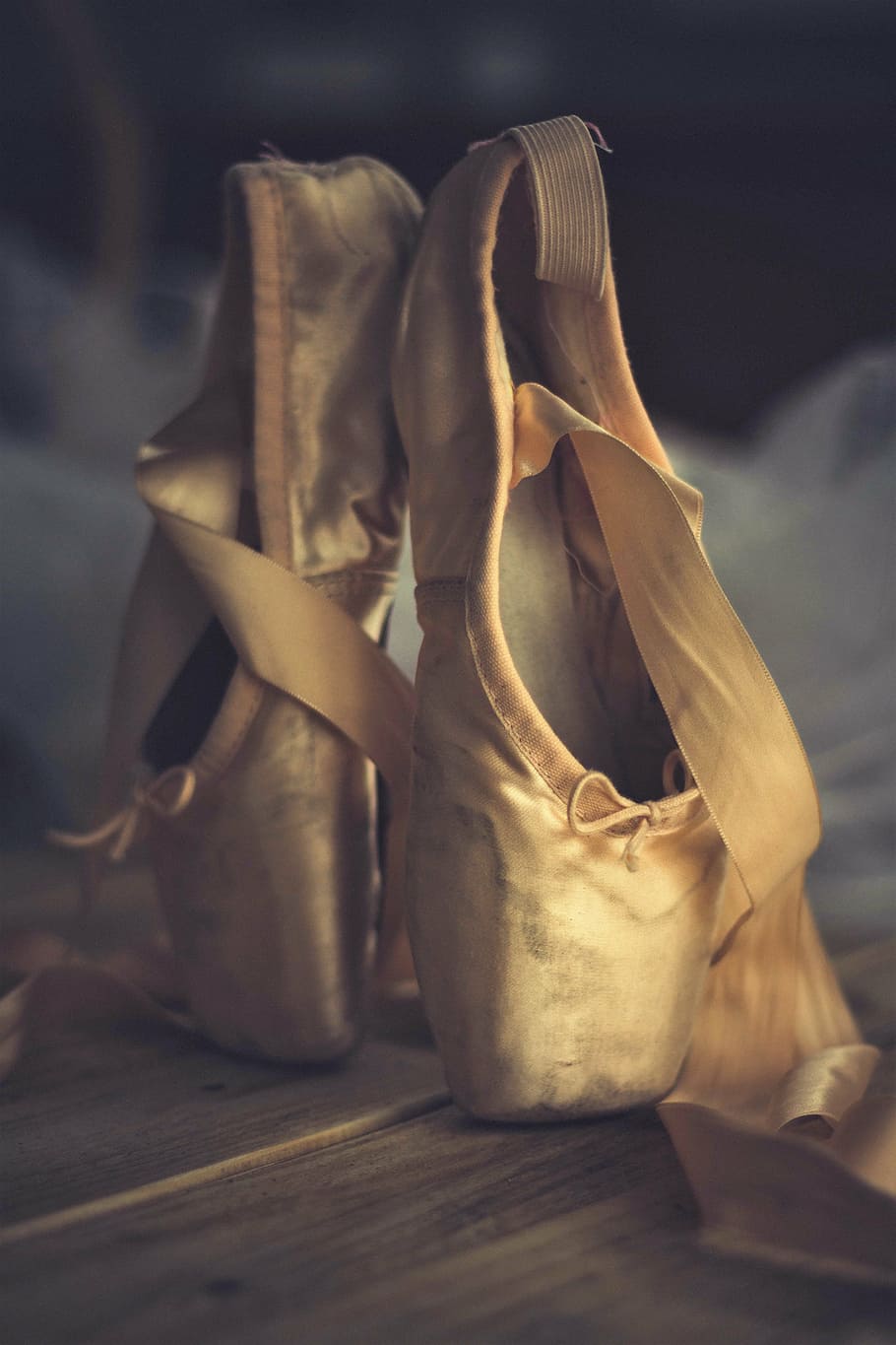pair, ballet shoes, slipper, dance, ballet, foot, classical, dancing, dancer, ballet dancer