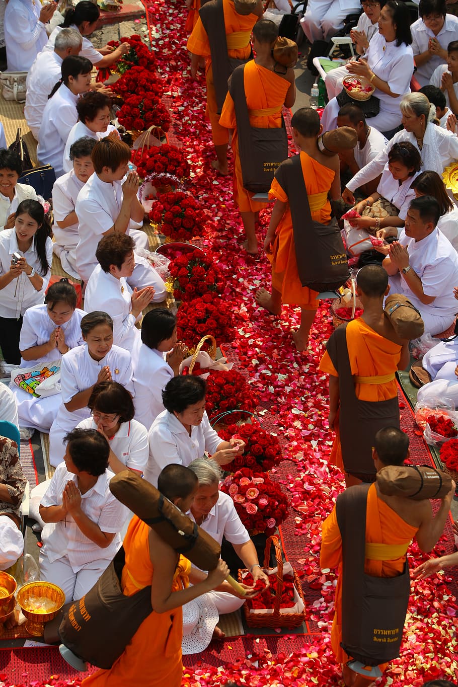 budistas, monges, budismo, andar, laranja, vestes, tailandês, flores, pétalas, templo