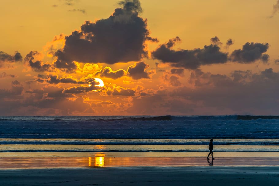 person, walking, seashore, daytime, sea, sunset, beach, sand, sunlight, sunrise